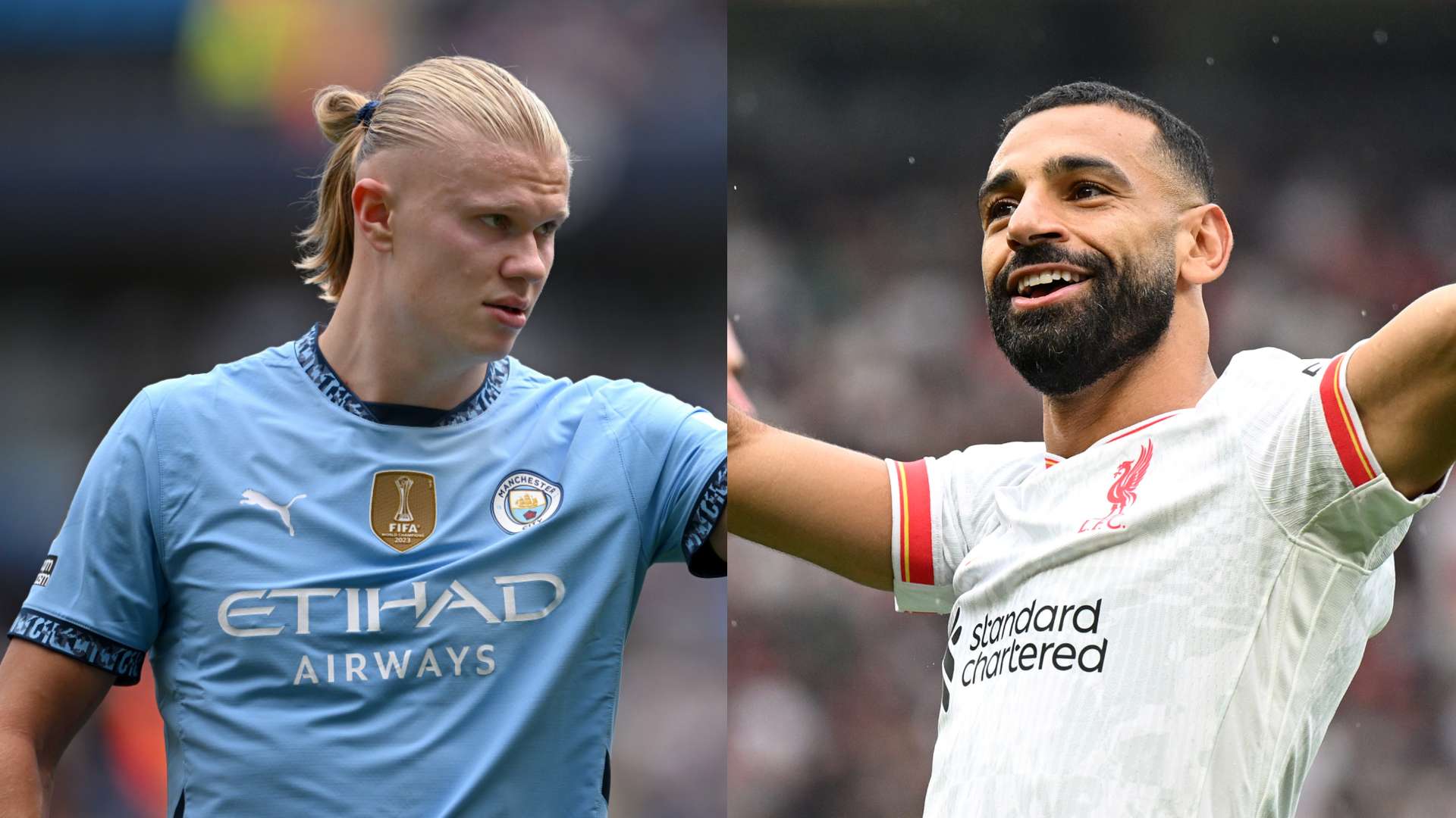 老马丁职业 老马丁职业